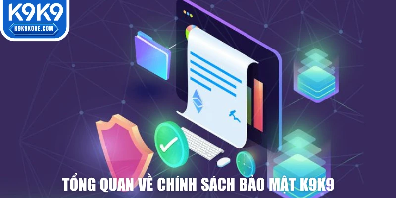 Tìm hiểu tổng quan về chính sách bảo mật K9K9