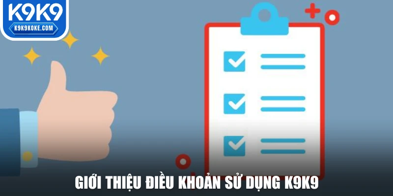 Giới thiệu điều khoản sử dụng K9K9